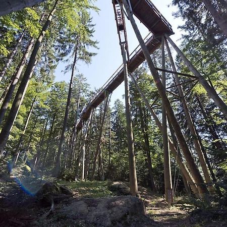 Cozy I Blockhuette Im Nationalpark I Ferienwohnung Neureichenau Exterior foto